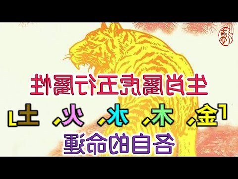 老虎 五行
